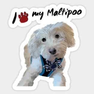 I love my maltipoo Sticker